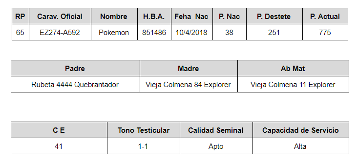 LOTE 7 – R.P. 65 POKEMON