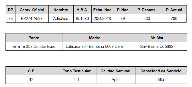 LOTE 9 – R.P. 73 ADRIÁTICO