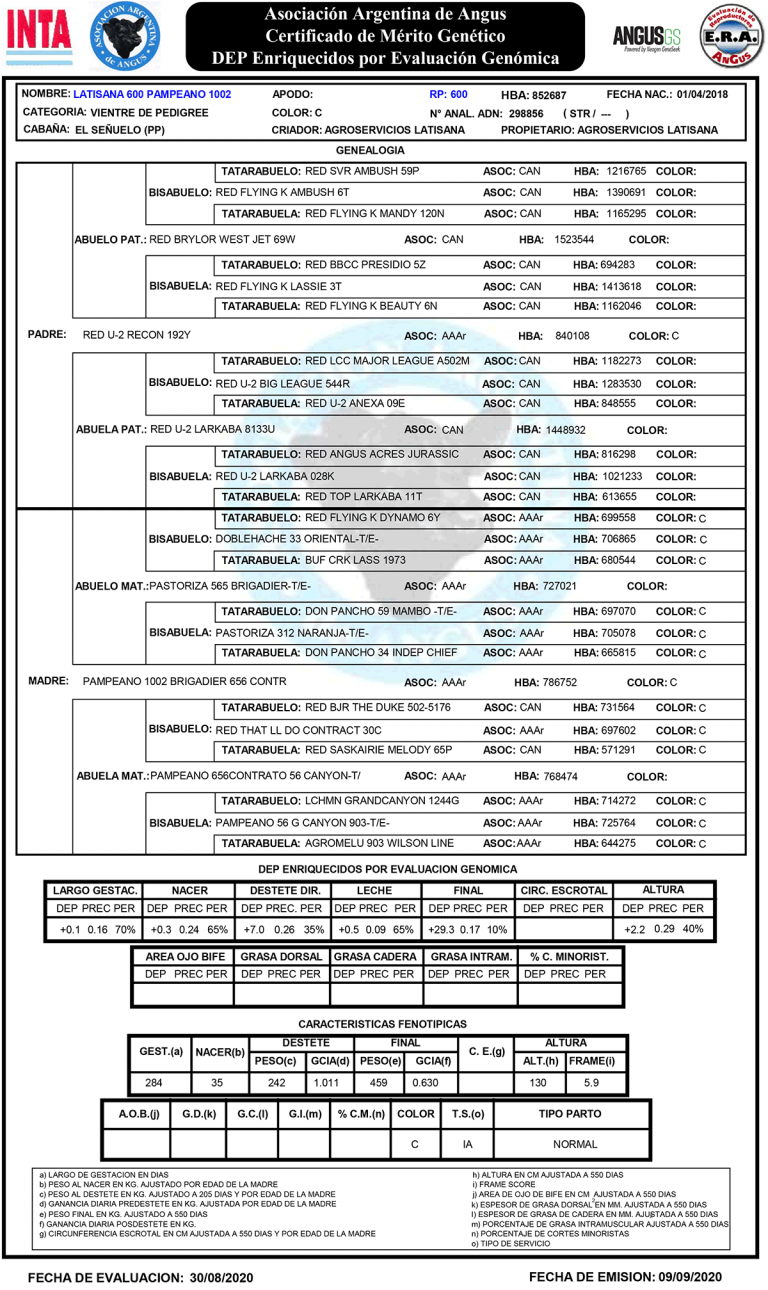 HEMBRAS-PP-LOTE-3-B