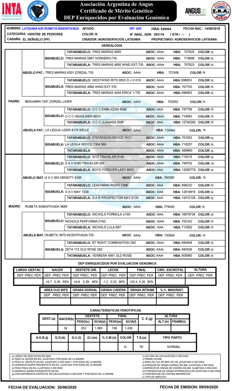 HEMBRAS-PP-LOTE-9-B