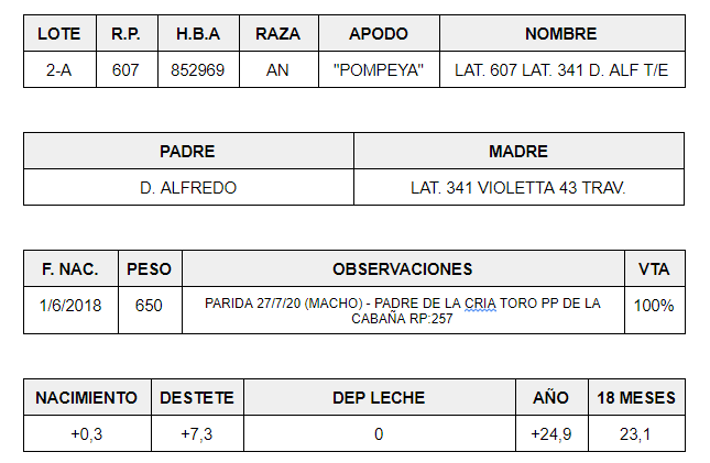 HEMBRAS-PP-LOTE-2-A