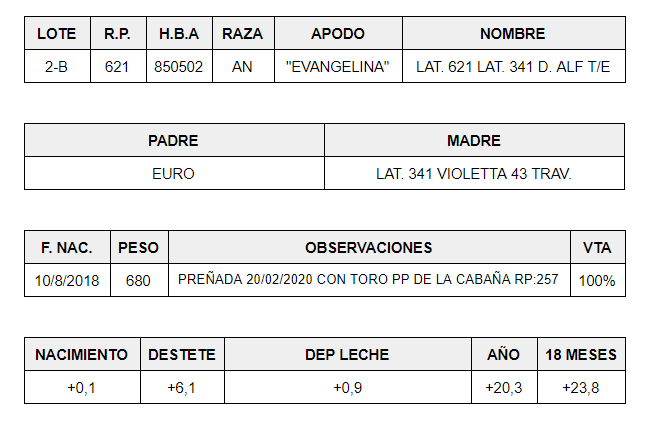 HEMBRAS-PP-LOTE-2-B