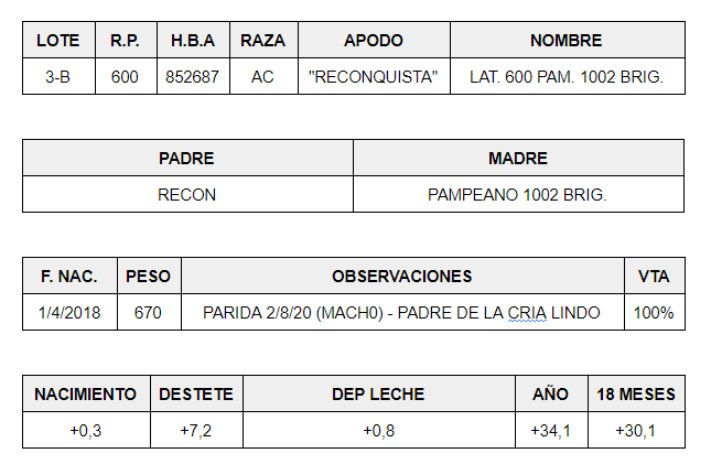 HEMBRAS-PP-LOTE-3-B