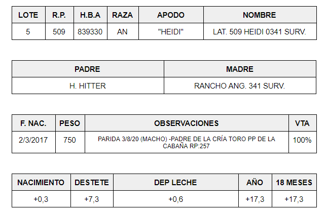 HEMBRAS-PP-LOTE-5