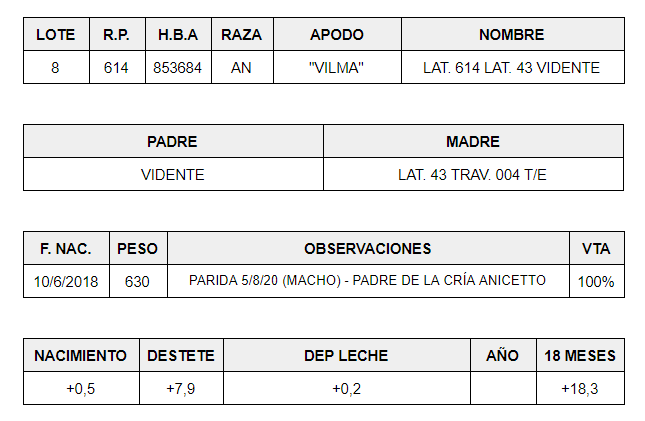 HEMBRAS-PP-LOTE-8