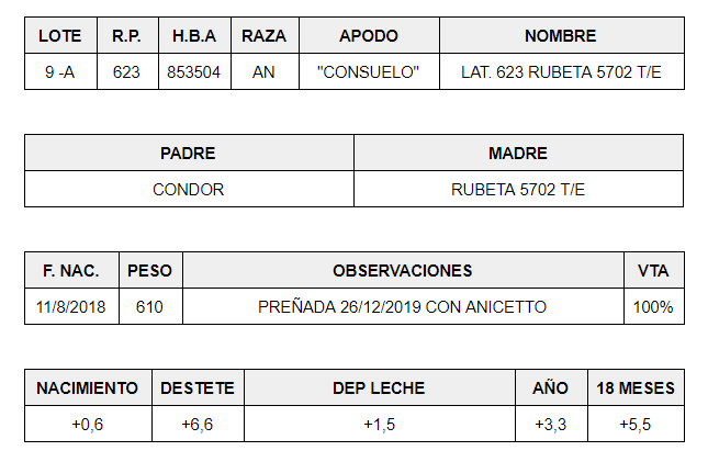 HEMBRAS-PP-LOTE-9-A