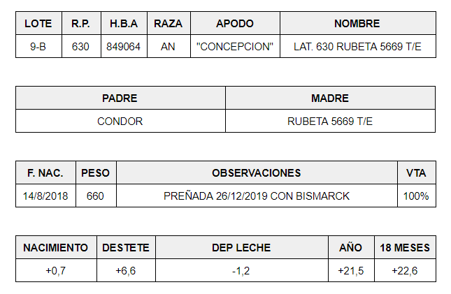 HEMBRAS-PP-LOTE-9-B