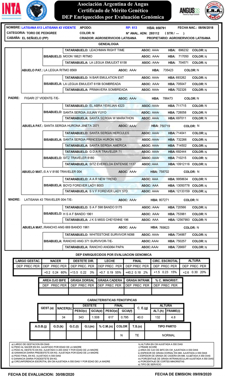 El Señuelo Machos PP Lote 5