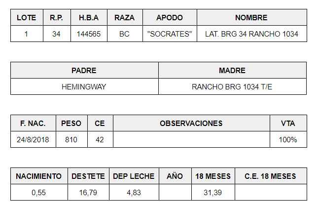 MACHOS-PP-BRANGUS-LOTE-1