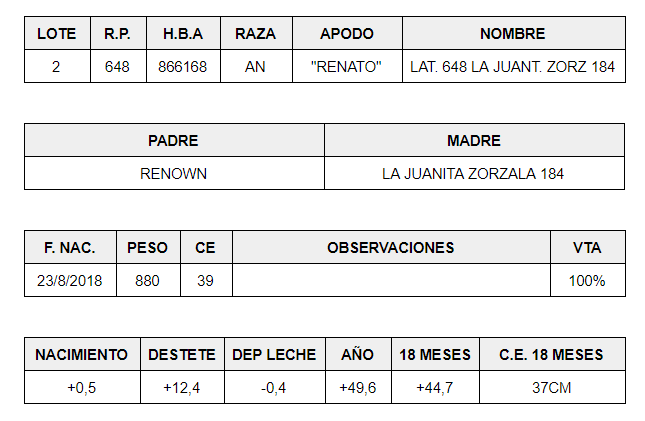 MACHOS-PP-LOTE-2