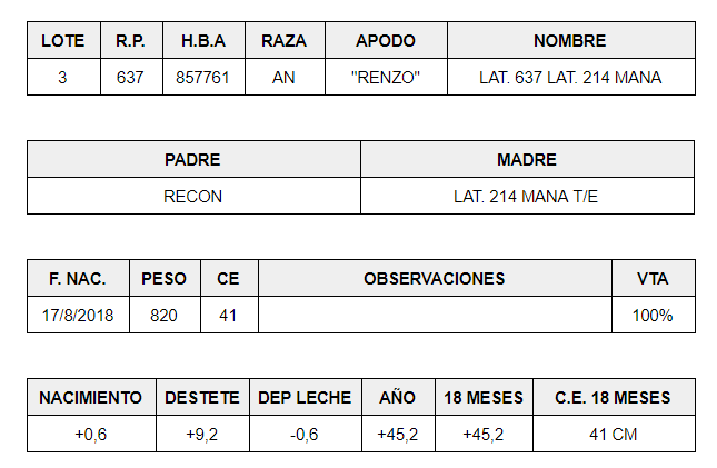 MACHOS-PP-LOTE-3