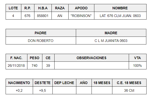 MACHOS-PP-LOTE-4