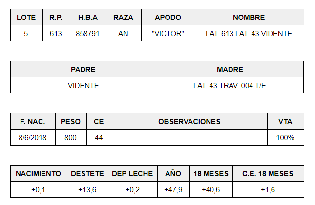 El Señuelo Machos PP Lote 5