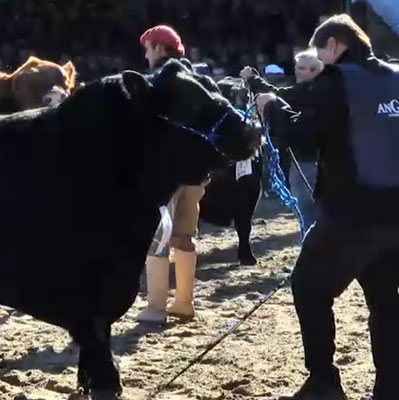 el señuelo presente en la fila final de Agus Palermo 2019